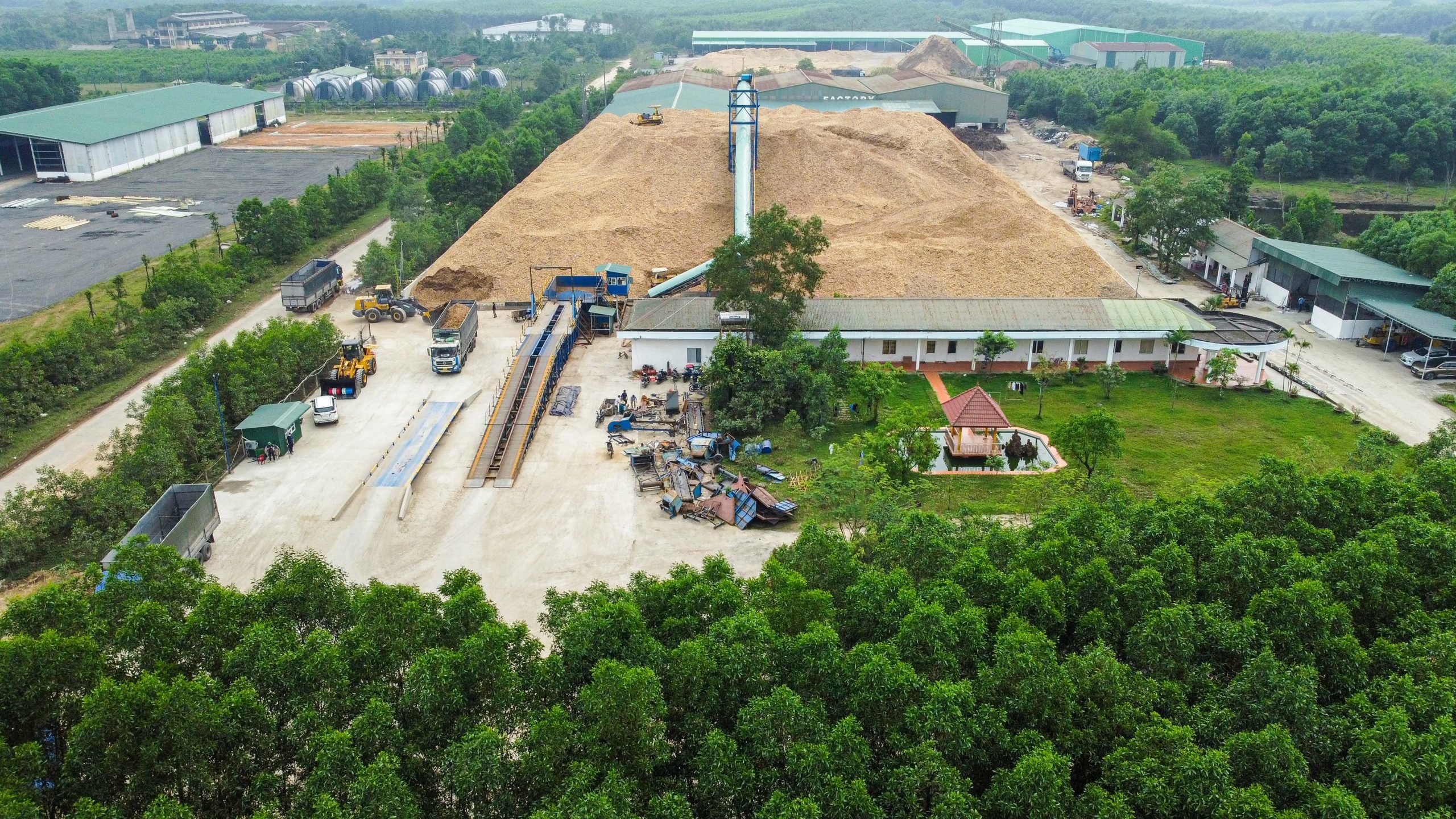 Adobe Express - file (6)